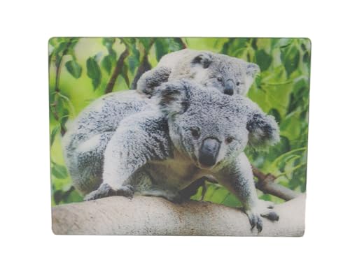 3D Magnet Koalas von Cornelissen