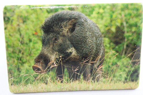 Cornelißen - 1023255 - Magnet, Wildschwein, Porzellan, 7,5cm x 5cm von Cornelißen