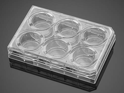 Corning Falcon 353046 6 Well Plate mit Lid, Clear Flat Bottom, TC-Treated Multiwell Cell Culture, Individually Wrapped, Sterile (50-er Pack) von Corning