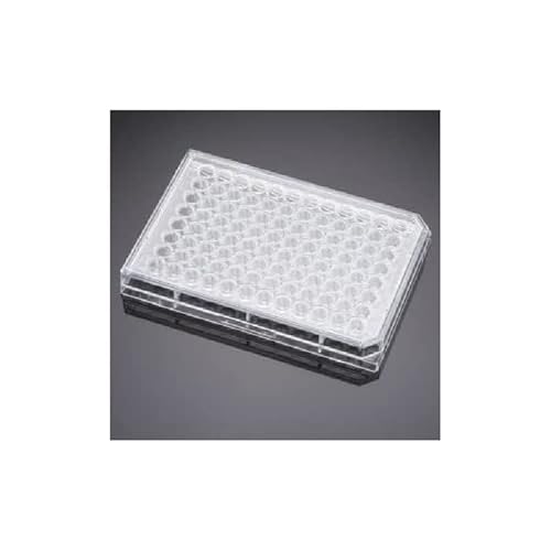 Corning Falcon TC-behandeltem 96-Well-Zellkultur-Mikroplatte Rundem Boden mit Deckel, Steril, 50 Stück von Corning