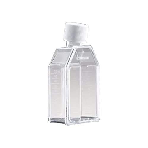 Corning Falcon 25cm² Rechteckige Zellkulturflasche mit Abgeschrägtem Hals und Schraubverschluss mit Belüftung, Blau/Klar, 100 Stück von Corning