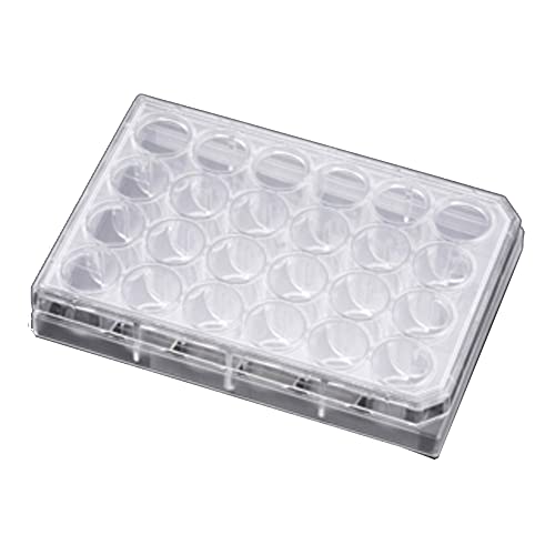 Falcon 353504 Cell Culture Insert Companion Plate with Lid, TC-Treated, 24 Well, Clear (Pack of 50) von Corning