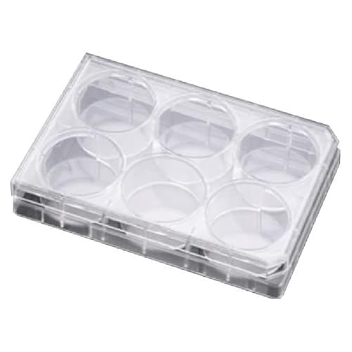 Corning Falcon 351147 24 Well Plate mit Lid, Polystyrene Clear Flat Bottom Not Treated Cell Culture, Individually Wrapped, Sterile (50-er Pack) von Corning