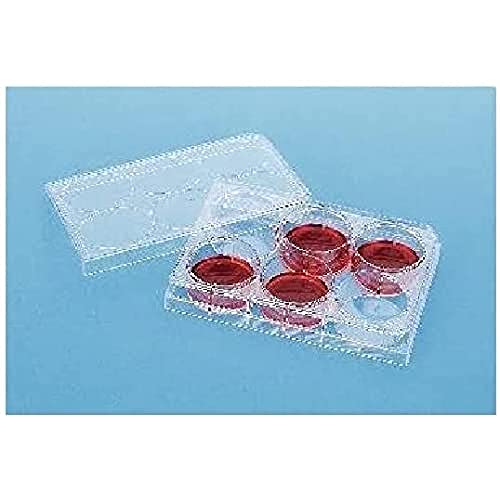 Corning Falcon 353502 6 Well Plate mit Lid, TC-Treated Polystyrene Permeable Support Companion, Sterile (50-er Pack) von Corning