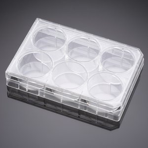 Corning Falcon 353846 6 Well Plate mit Lid, Cell Clear Flat Bottom, Surface-Modified Multiwell Culture, Sterile (50-er Pack) von Corning