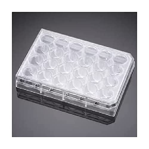 Corning Falcon 353847 24 Well Plate mit Lid, Flat Bottom Surface, Modified Multiwell, Cell Culture, Individually Wrapped, Sterile (50-er Pack) von Corning