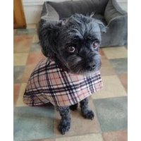 Tartan Fleece Dackel Hundemantel Wasserabweisend, Geschirr Loch Tartan Fleece Dackel Hundemantel Wasserabweisend, Geschirr Loch von Cornishk9LTD