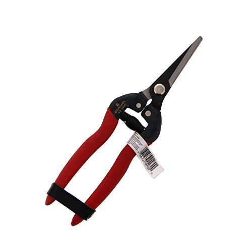 Corona AG 4930 Long Straight Snip, Tempered Steel von Corona