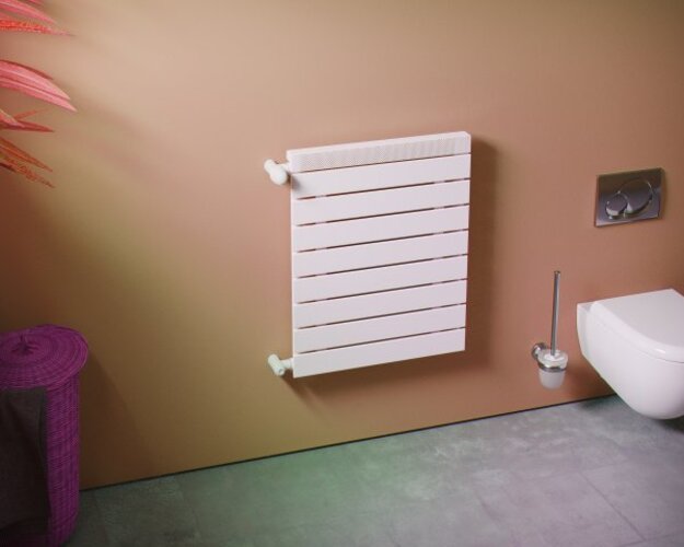 Corpotherma Mini Raumheizkörper, wassergeführt, gerade Präzisionsstahlpaneele, weiß, Tiefe: 65mm, MINI5060W Corpotherma Mini Raumheizkörper, wassergeführt, gerade Präzisionsstahlpaneele, weiß, Tiefe: 65mm, MINI5060W von Corpotherma