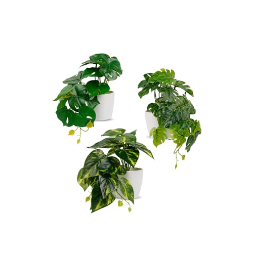 3er Set Monstera Künstlich Im Weißen Blumentopf (15cm), Künstliche Pflanzen Wie Echt, Monstera Pflanze Künstlich, Kunstpflanze für Büro, Schreibtisch, Haus, Küche, Garten, Tisch und Badezimmer von Corpower