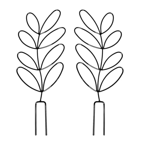 Correa 2er-Pack Metall-Innenpflanzengitter Außendekorative Stütze für für Topfpflanzen, Ideal für Ranken von Correa