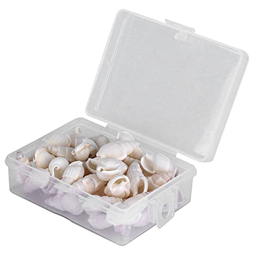 Cosiki Sea Snail, DIY Conch Schmuckhandwerk DIY Conch Home Shells Sea Snail Dekoration Hochzeitsdekorationen Orament Cosiki Sea Snail, DIY Conch Schmuckhandwerk DIY Conch Home Shells Sea Snail Dekoration Hochzeitsdekorationen Orament von Cosiki