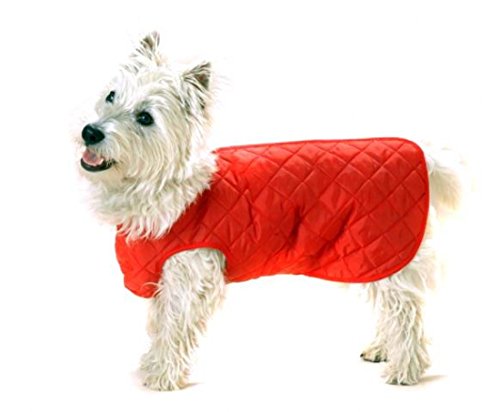 Cosipet Hundemantel, gesteppt Cosipet Hundemantel, gesteppt von Cosipet