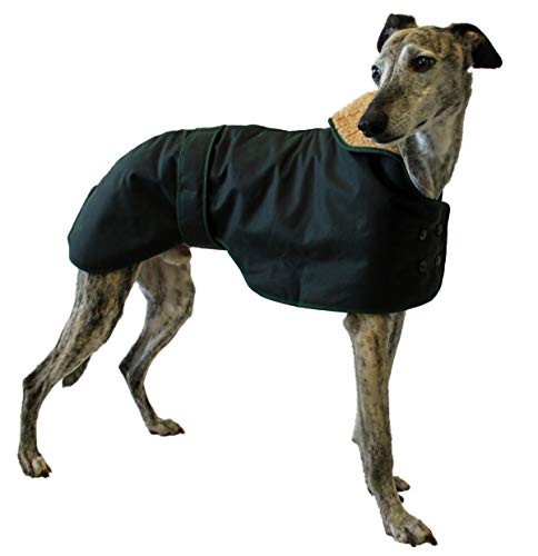 Cosipet Made in The UK Hunter Greyhound/Whippet Dog Coat - 45cm / 18inch Cosipet Made in The UK Hunter Greyhound/Whippet Dog Coat - 45cm / 18inch von Cosipet