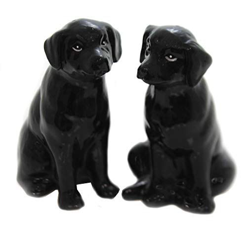 Cosmos Gifts 20973 Salz- und Pfefferstreuer, Labrador, Schwarz von Cosmos Gifts