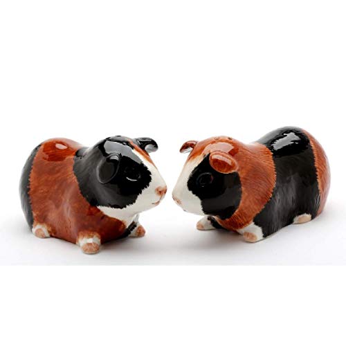 Cosmos Gifts Salz- und Pfefferstreuer aus feinem Porzellan, Meerschweinchen, 9,5 cm lang von Cosmos Gifts