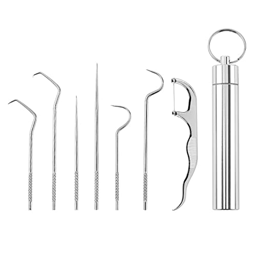 304 Edelstahl Zahnstocher Set, 7 Stück Tragbare Zahnstocher Metall Titan Zahnstocher Set Wiederverwendbar 304 Edelstahl Zahnstocher Obstgabel mit Halter für Outdoor Picknick Camping Freien 304 Edelstahl Zahnstocher Set, 7 Stück Tragbare Zahnstocher Metall Titan Zahnstocher Set Wiederverwendbar 304 Edelstahl Zahnstocher Obstgabel mit Halter für Outdoor Picknick Camping Freien von Cosswe