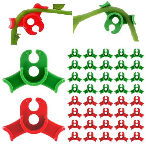 40 Stück Pflanzenbieger,Wachstum Bieger Clips,Pflanzenbieger-Clips,Gartenpflanzen-Clips, Zum Biegen von Pflanzenstämmen und Ändern der Wuchsrichtung 40 Stück Pflanzenbieger,Wachstum Bieger Clips,Pflanzenbieger-Clips,Gartenpflanzen-Clips, Zum Biegen von Pflanzenstämmen und Ändern der Wuchsrichtung von Cosswe