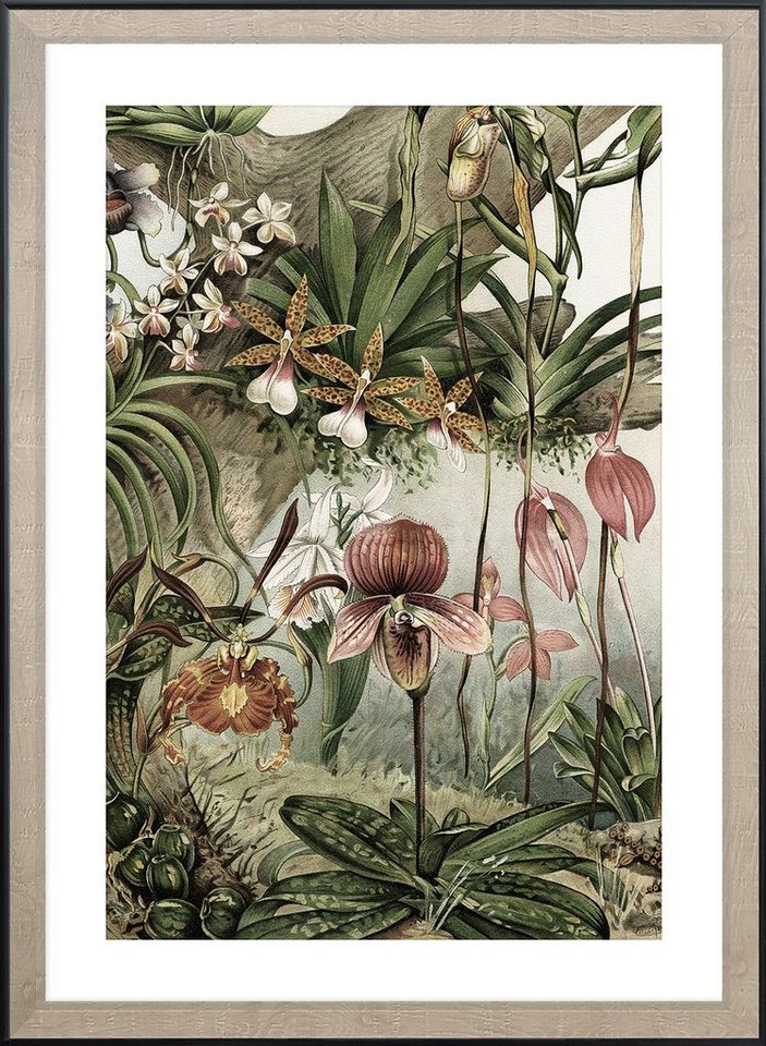 Cosy Home Ideas Bild mit Rahmen Wandbild Blumen Dschungel Palmen 60x90 cm Bild mit Rahmen, Dschungel & Orchideen (1 Stück), Kunstdruck beschichtet - ohne Glas von Cosy Home Ideas