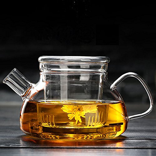 Glas Teekanne mit Infuser, Teekanne mit Sieb für lose Tee, Teekessel sicher auf Herdplatte, hitzebeständige Borosilikatglas Teekanne mit herausnehmbarem Sieb, nordischer Topf mit Glas-Infuser von Cosy-YcY