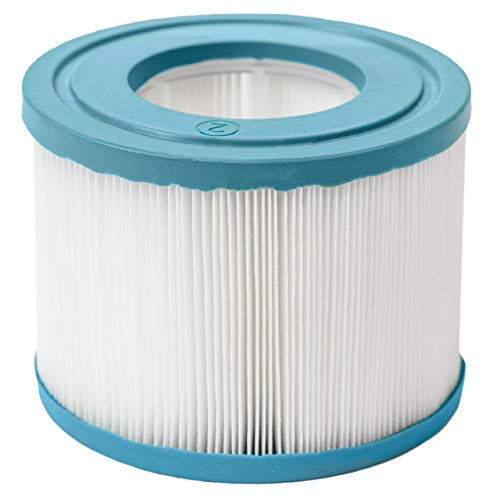 CosySpa Whirlpool-Ersatzfilter | Standard- oder Schraubfilter [1, 6 oder 12 Stück] Wasserfilter für die Spa-Wartung – kompatibel mit einer Reihe von Whirlpool-Systemen (Standard, 2 Stück) von CosySpa