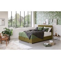 COTTA Boxbett "Tom mit Bettkasten, Topper und Zierkissen" Bestseller, Unser Dauertiefpreis COTTA Boxbett "Tom mit Bettkasten, Topper und Zierkissen" Bestseller, Unser Dauertiefpreis von Cotta