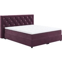 COTTA Boxspringbett "Castle", mit Strasssteinen im Kopfteil, inkl. Topper von Cotta