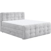 COTTA Boxspringbett "Fort mit Bettkasten, inkl. Topper" erhältlich in verschiedenen Breiten (160cm, 180cm & 200cm) von Cotta