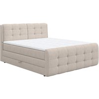 COTTA Boxspringbett "Fort mit Bettkasten, inkl. Topper" erhältlich in verschiedenen Breiten (160cm, 180cm & 200cm) von Cotta