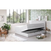 COTTA Boxspringbett "Shark inkl. Bettkasten und Topper", erhältlich in den Breiten 140x200cm, 160x200cm und 180x200cm von Cotta
