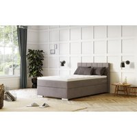 COTTA Boxspringbett "Simba" Topseller wahlweise mit oder ohne Matratze und Topper bestellbar COTTA Boxspringbett "Simba" Topseller wahlweise mit oder ohne Matratze und Topper bestellbar von Cotta