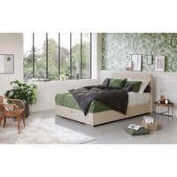 COTTA Boxbett "Tom", mit Bettkasten, Topper und Zierkissen COTTA Boxbett "Tom", mit Bettkasten, Topper und Zierkissen von Cotta