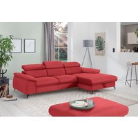 COTTA Ecksofa "Kitty L-Form, B: 242 cm" mit Kopfteilverstellung, optional Bettfunktion & Bettkasten COTTA Ecksofa "Kitty L-Form, B: 242 cm" mit Kopfteilverstellung, optional Bettfunktion & Bettkasten von Cotta