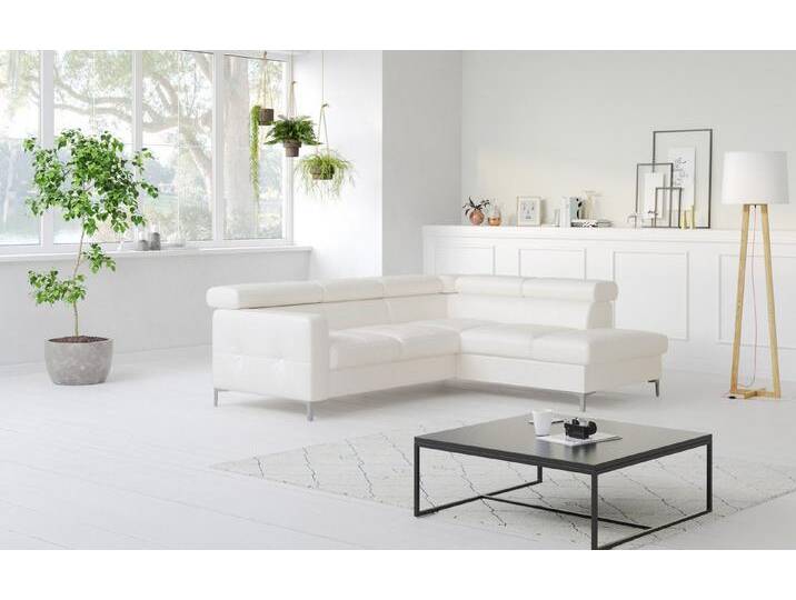 COTTA Ecksofa Sammy Echtleder, Echtleder mit Schlaffunktion und Bettkasten, weiß, bianco COTTA Ecksofa Sammy Echtleder, Echtleder mit Schlaffunktion und Bettkasten, weiß, bianco von Cotta