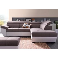 COTTA Ecksofa "Speedway L-Form" von Cotta