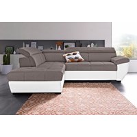 COTTA Ecksofa "Speedway L-Form" von Cotta