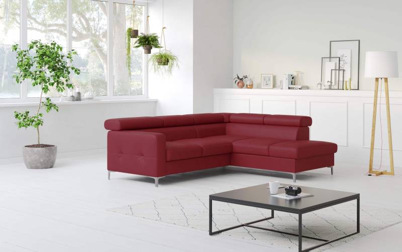 Echtleder Ecksofa Sammy mit Schlaffunktion & Bettkasten - Cotta von Cotta