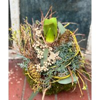 Amaryllis in Mooskugel Im Winterlichen Look Natürlich Dekoriert ~ Zauberhafte Naturdeko Mit Creme Pfeffer von Cottagegarden24