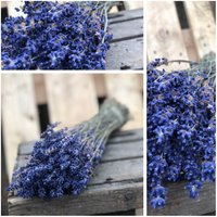 Lavendel Im Dicken Bund~ Duftige Deko Der Provence~ Flowers ~ Trockenblumen Liebe von Cottagegarden24