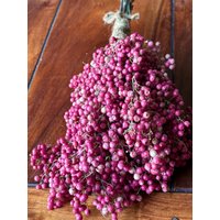 Rosa/Pink Getrockneter Pfeffer - Ein Dickes Bund ~Würzig/Duftige Pfefferbeeren Eine Wunderschöne Naturdeko ~ Getrocknet von Cottagegarden24