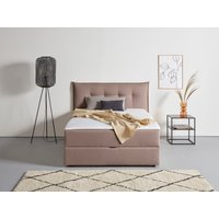 andas Boxbett "Kederleicht", inklusive Bettkasten & Topper, in 4 Breiten und 2 Härtegraden von Andas