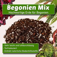 Begonien Mix | Erde Für - Leicht, Luftdurchlässig & Gut Entwässernd von CoupleofPlants