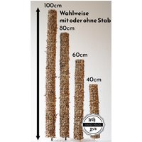 Moostab Handmade 40-100cm Rankhilfe Verschiedene Längen Für Monstera & Co von CoupleofPlants
