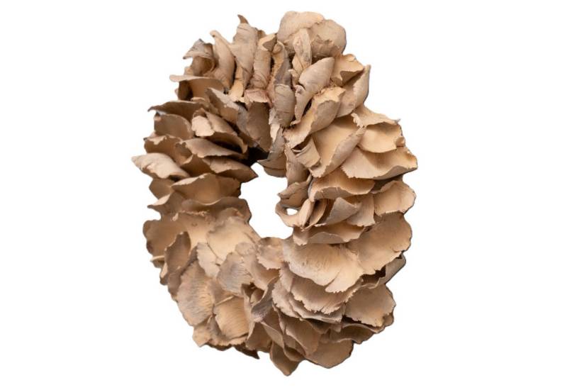 Couronne Dekokranz Kranz Deko Hängekranz Beige Sandfarben Klein 25 cm, Naturmaterialien in Handarbeit gefertigt von Couronne
