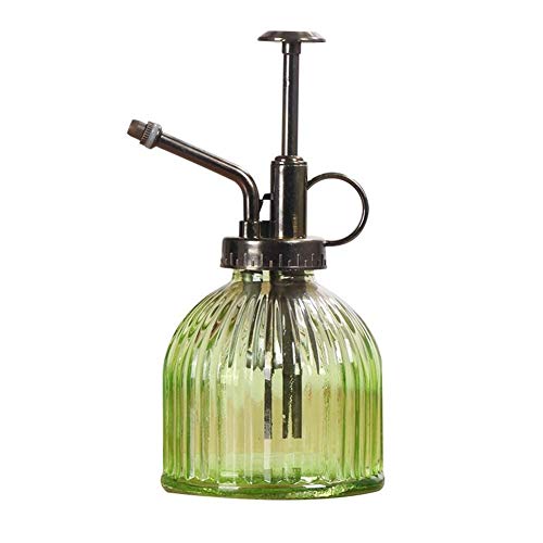 Courti Pflanze Glas Gießkanne, Mini Retro Stil Dekorative Wasser Sprühflasche Rasen Gartenbewässerung Ausrüstung Glas Dusche Gießkanne Gartengeräte Für Indoor Blumen Topfpflanzen von Courti