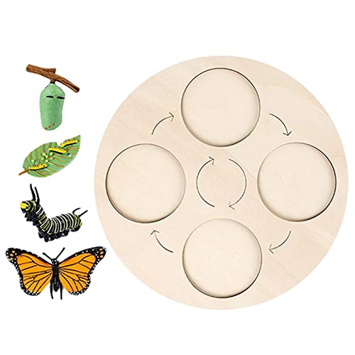 Life Growth Cycle Board Early #Educational for Preschool Kids Butterfly von Courtieyeardceastea