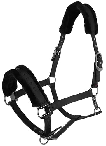 Covalliero Halfter Dornschnalle Black mit Webpolster HW 2024 (Vollblut (Cob)) von Covalliero