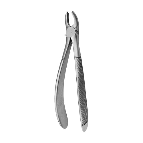 Forceps Pequeñas N39A MOLARES Derecha. COVETRUS von Covetrus