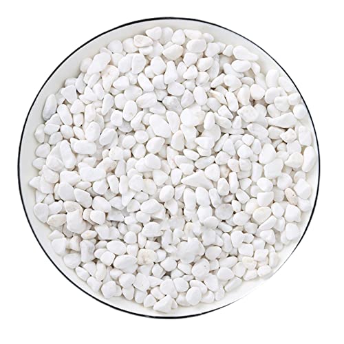 Dekorative Steine Weiß Kieselsteine Dekogranulat Kleine Dekosteine Marmorsteine Natürliche Zierkies Deko Steine für Vasenfüller Topfpflanzen Aquarium Garten Balkon (6-9mm, 1kg/2,2 Pfund) von Coyanyu