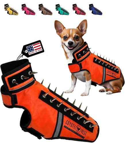 CoyoteVest SpikeVest Hundegeschirr, reflektierendes Hundezubehör mit Spikes, um Ihr Haustier vor Raptor- und Tierangriffen zu schützen, hergestellt in Amerika, Größe XS, Fluoreszierendes Orange von CoyoteVest